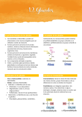1.2. GLÚCIDOS.pdf