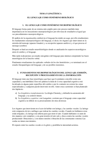 RESUMEN-T.pdf