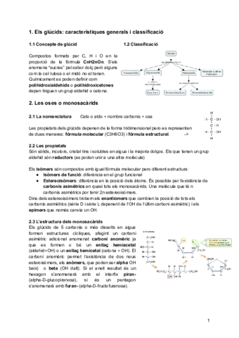 Tema-2-Els-glucids.pdf