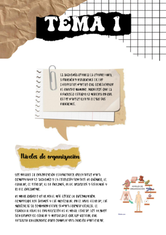 Anatomia-tema-1ccc.pdf