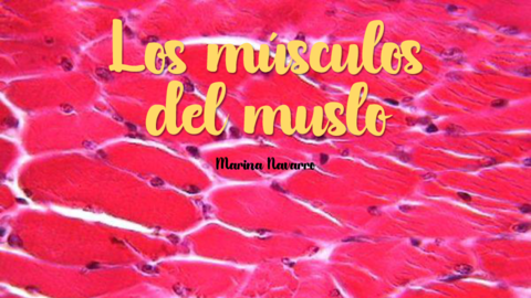 Los-musculos-del-muslo.pdf