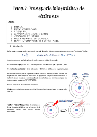 Tema-7-fisio-vegetal.pdf