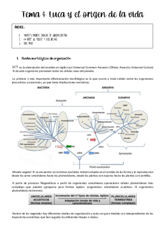 Tema-4-botanica-.pdf