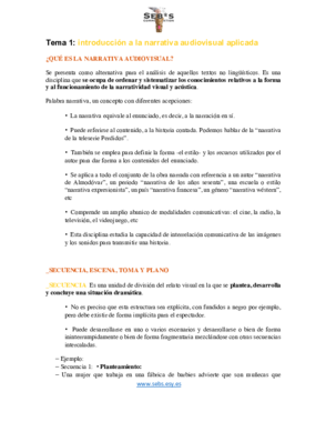 full resumen narrativa - Sebs -.pdf