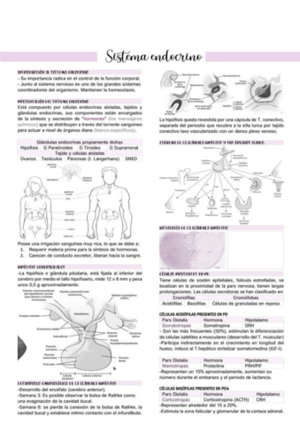 sistema-endoctrino-1.pdf