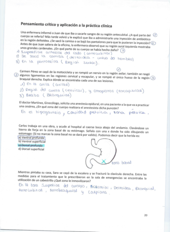 Actividades-tema-1-Fisio-.pdf