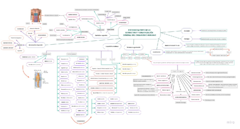 mapa-conceptual-tema-1.pdf