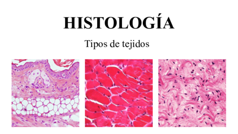 Trabajo-Histologia-tejidos.pdf