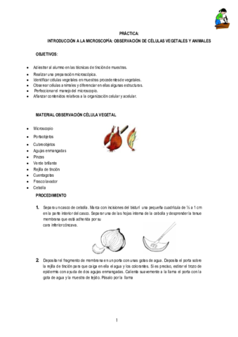 P3-Microscopio-celulas-.pdf