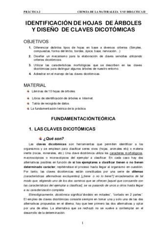 P2-clasificacion-dicotomica-.pdf