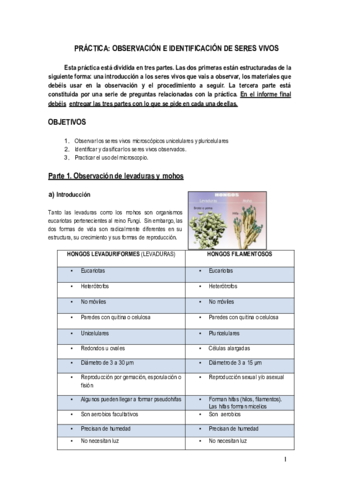 P4-microscopio-hongos.pdf