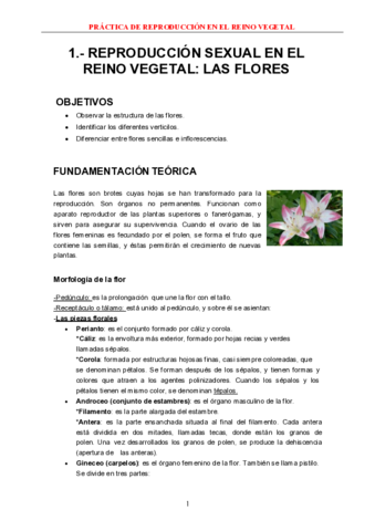 P6-I-La-flor.pdf