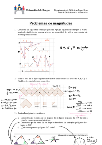 Problemas-magnitudes.pdf