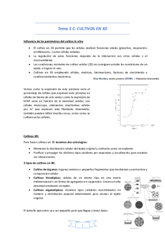 Tema-3-C.pdf