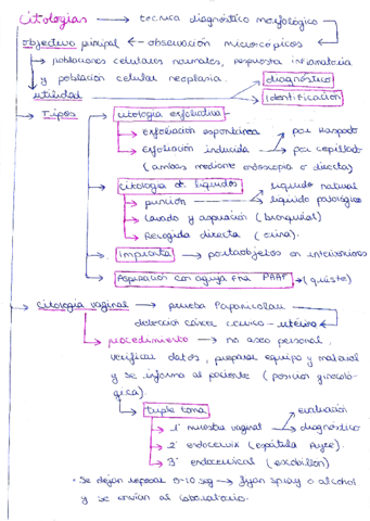 Portafolio-gmb-tema-8-Berta-Sabao.pdf