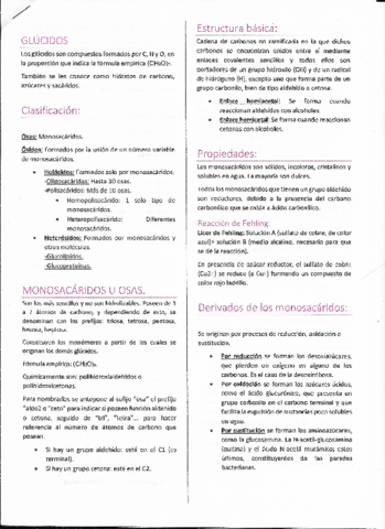 tema-2-glucidos.pdf