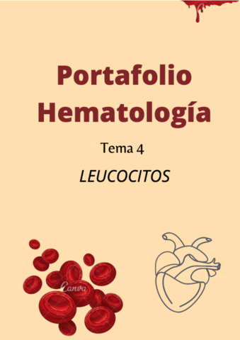 Portafolio-hematologia-t4-Berta-Sabao-T4-1.pdf