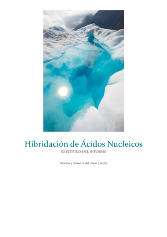 Tema-5-Hibridacion-BM.pdf