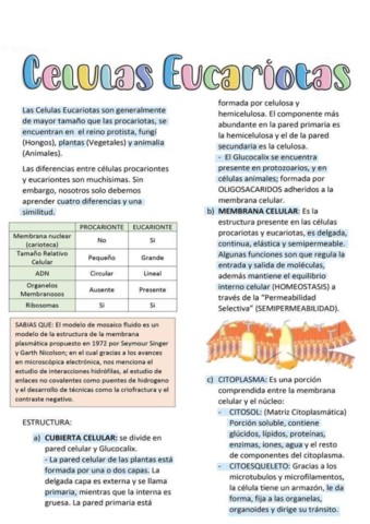 celulas-eucariotas.pdf