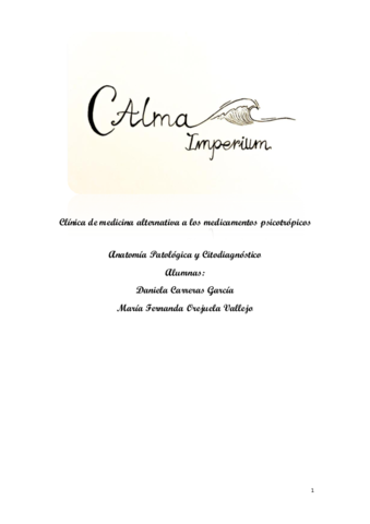 Proyecto-Empresa-Final-EIE.pdf