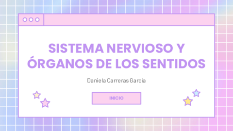 Presentacion-Sistema-Nervioso-y-Organos-de-los-Sentidos-pdf.pdf