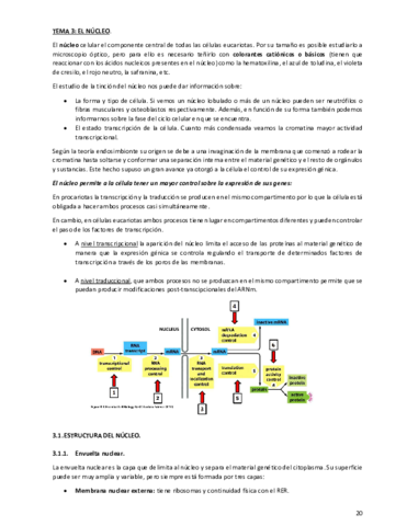 Tema-3.pdf