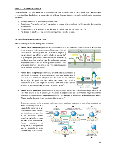 Tema-6.pdf