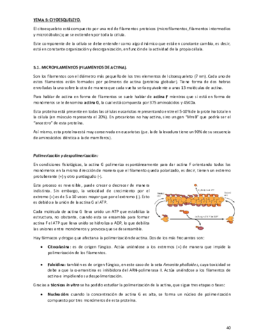 Tema-5.pdf