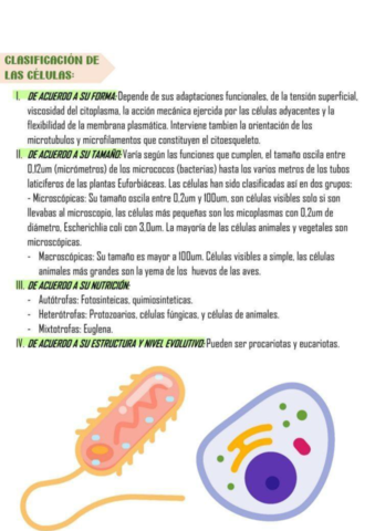 clasificacion-de-las-celulas.pdf