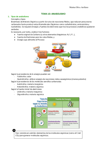 Tema-10-Anabolismo.pdf