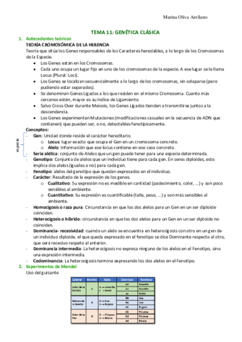 Tema-11-Genetica-clasica.pdf