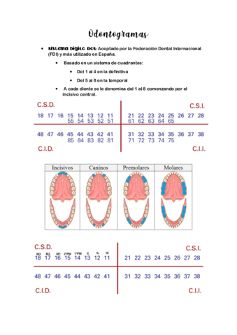 Odontogramas.pdf