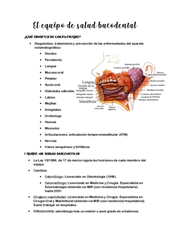 El-equipo-de-salud-bucodental.pdf