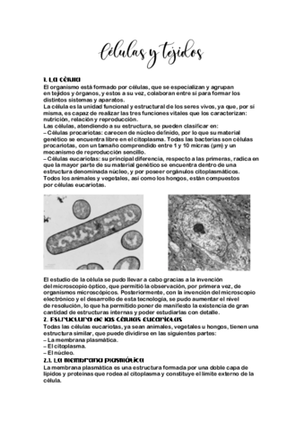 Celulas-y-tejidos.pdf