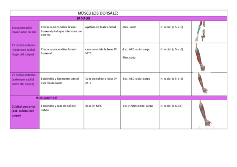 Miologia-muneca-y-mano-imp.pdf