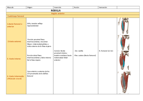 Tabla-miologia-rodilla-imp-ASNEM.pdf