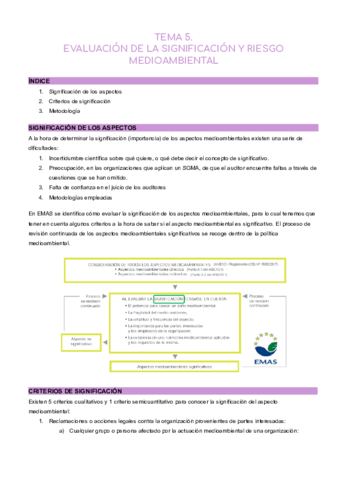 TEMA-5.pdf