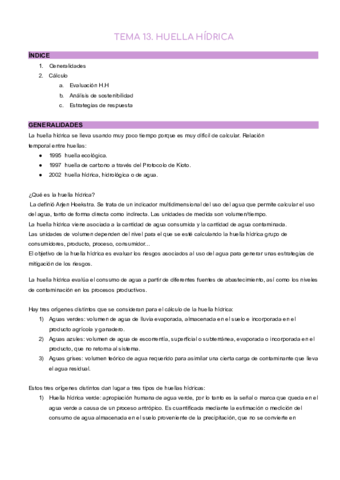 TEMA-13.pdf
