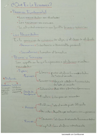 Tema-1-y-2-Economia.pdf