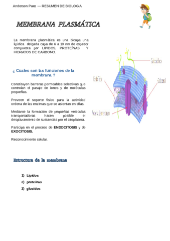 MEMBRANA-PLASMATICA.pdf