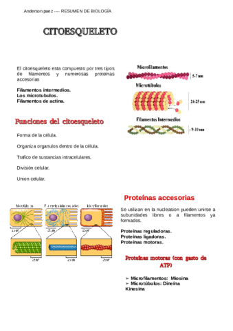 CITOESQUELETO-PDF.pdf