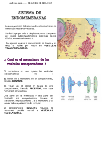 SISTEMA-ENDOMEMBRANAS-PDF.pdf