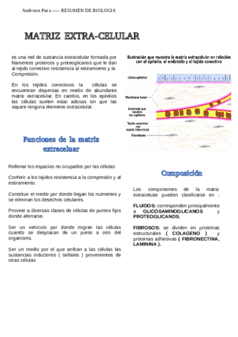 MATRIZ-EXTRACELULAR-PDF.pdf