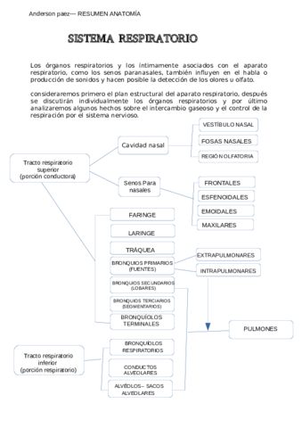 SISTEMA-RESPIRATORIO-PDF.pdf