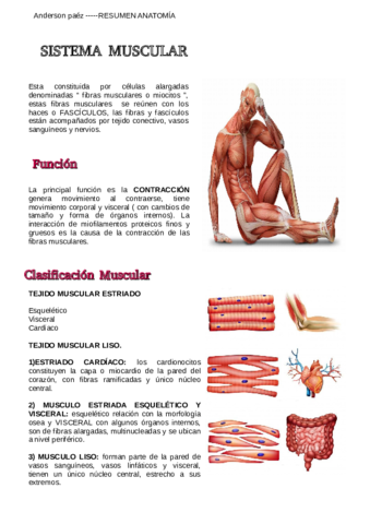 SISTEMA-MUSCULAR-PDF.pdf