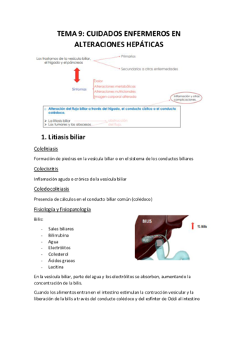 TEMA-9.pdf