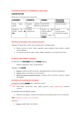 QUIROS-IMPORTANTE.pdf