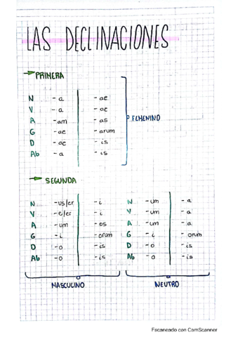 Las declinaciones.pdf
