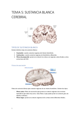TEMA-5.pdf