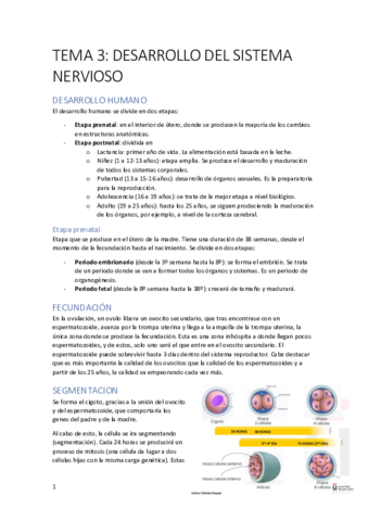 TEMA-3.pdf